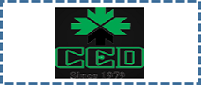 logo85